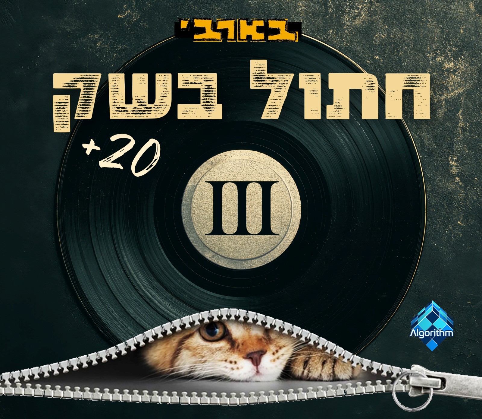 חתול בשק!